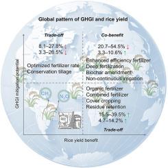 Data-driven strategies to mitigate greenhouse gas emissions intensity while sustaining global rice production