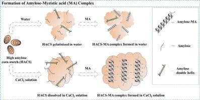 Complexation mechanism of high-amylose corn starch and myristic acid in CaCl2 aqueous solution: The role of Ca2+ coordination structure