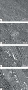 Influence of the Fractional Composition of Unoxidized Coal on Its Radical Structure
