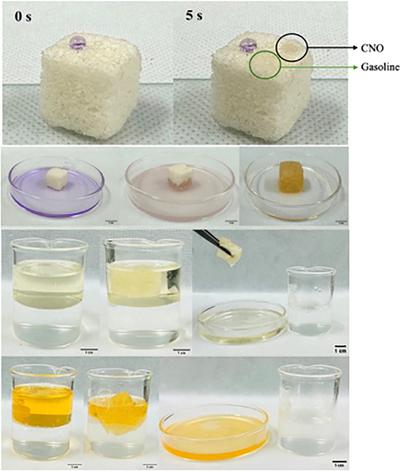 Natural Mucilage Modified Elastomer for Oil/Water Separation