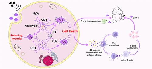 Hybrid-Ligand Metal–Organic Frameworks Enabling Radio–Radiodynamic–Chemodynamic Therapy Primes Checkpoint Blockade Immunotherapy in Hypoxic Tumors