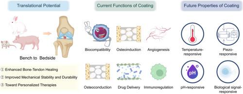 Artificial ligaments in anterior cruciate ligament reconstruction: Coating strategies for PET-based materials