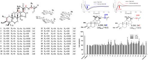 New C-24 epimers of dammarane-type saponins from Gynostemma pentaphyllum and their absolute configurations