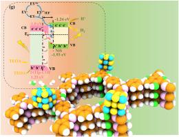 Constructing S-scheme heterojunctions by integrating covalent organic frameworks with transition metal sulfides for efficient noble-metal-free photocatalytic hydrogen evolution