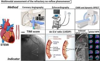 Assessing coronary microvascular dysfunction in refractory no-reflow: Insights from dynamic myocardial perfusion scintigraphy and cardiac MRI