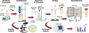 Synergistic role of Cyanex 272 saponification and acetate buffering in selective Co(II)/Ni(II) separation via Green Emulsion Liquid Membrane (GELM)