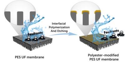 Interfacial polymerization combined with etching: A novel surface modification method for ultrafiltration membranes