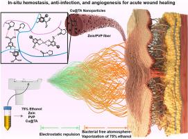 Point-of-care treatment of acute skin wound by portable in-situ electrospinning nanofiber dressings with rapid hemostasis, anti-infection, and angiogenesis effects