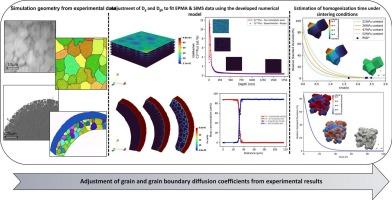 Three-dimensional modeling of diffusion in bulk and grain boundaries: application to (U, Pu)O2 system