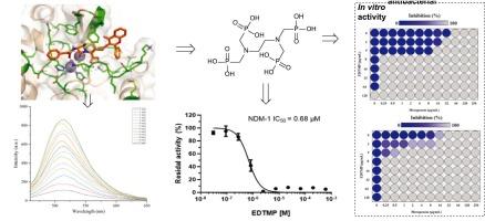 Study of the reversal of metallo-β-lactamase-mediated resistance in Gram-negative bacteria by EDTMP