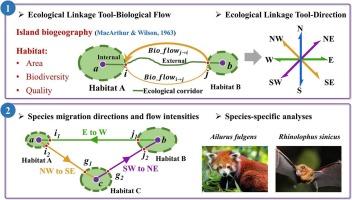 Revealing the dynamic biological flow between eastern and western China from the perspective of ecological network