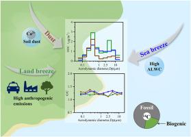 Various formation pathways of size-resolved secondary organic aerosols at a coastal site in Eastern China