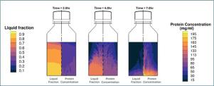 Cryoconcentration modeling and experimental measurements for freezing and thawing of a biologic bulk drug substance