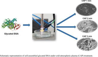 Exploring impact of cold atmospheric plasma directed self-assembly of glycated bovine serum albumin