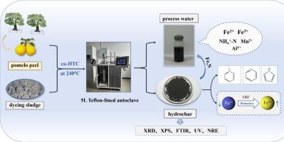 Conversion and migration of iron and nitrogen under co-hydrothermal carbonization of pomelo peel and dyeing sludge