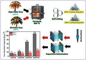 Activated carbon nanodots derived from date palm and oil palm trees for designing effective capacitive deionization electrodes