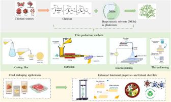 Recent advances in the application of deep eutectic solvents (DESs) as plasticizers in the production of chitosan-based packaging films