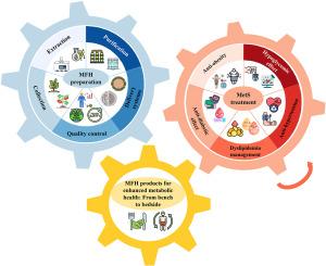 Medicine food homology materials for promoting resilience against metabolic syndrome: Recent technology advances and challenges