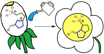 Diastereospecific cyclization of 3-arylidene-1-pyrrolinium salts containing an alkyltriarylphosphonium fragment: a path to the synthesis of new pyrrolizidine derivatives