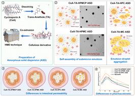 Interfacial molecular engineering-driven self-emulsification: a green strategy for surfactant-free, high-efficiency oral delivery of cyclosporine A†