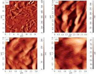 Electrochromic Properties of β-V2O5 Film and Its Formation Using Vanadyl Alkoxoacetylacetonate