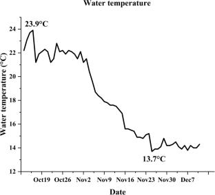 Effect of dietary dihydromyricetin on overwintering of large yellow croaker (Larimichthys crocea)