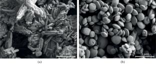 Structure and Thermal Behavior of Novel Double Ceriс Phosphates RbCe2(PO4)3 and Rb2Ce(PO4)2·xH2O