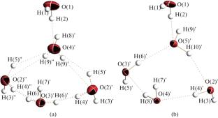 Structural Transitions during Thermal Destruction in Family of Zinc Fluoridozirconate Crystal Hydrates