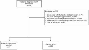 Temporal association and risk factors for periprosthetic joint infection following erysipelas in total hip and knee arthroplasty