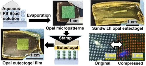 Facile Evaporation-Stamping Technique for Stimuli-Responsive Biopolymer-Supported Eutectogels Containing Opal Micropatterns