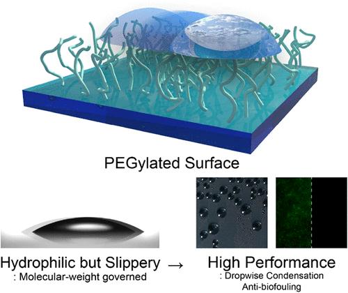 Slippery Behavior of PEGylated Surfaces