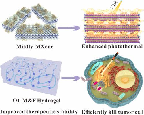 Functionalized Mildly Oxidized MXene-Based Injectable Hydrogel with Enhanced Photothermal Performance for Precision Therapy of Uterine Sarcoma