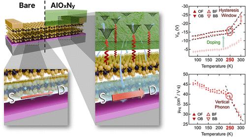 Phonon-Assisted Charge Trapping and Threshold Voltage Modulation in MoS2 FETs with AlOxNy Overlayers