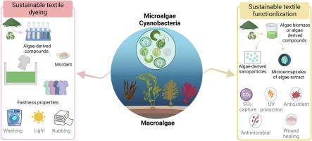 Algae-powered innovation: A critical review of sustainable textile dyeing and functionalization strategies