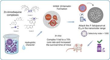 Synthesis, characterization, inhibition of β-hematin formation, lipophilicity, and antimalarial activity of metal-amodiaquine complexes