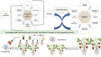 Nanoagrochemicals: Ensuring sustainable productivity through nutrient and pest management in strawberry (Fragaria × ananassa Duch.)
