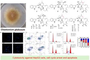 Cytochalasans from the fungus Chaetomium globosum with cytotoxic activities against HepG2 cell line