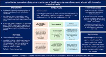A qualitative exploration of women's experiences of food insecurity around pregnancy aligned with the socio-ecological model