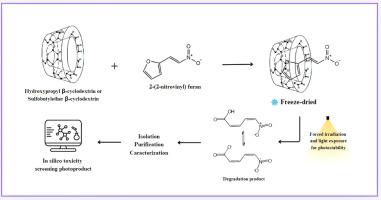 Photodegradation of the antibacterial, antifungal and antiprotozoal drug candidate 2-(2-nitrovinyl) furan (G-0) in solid inclusion complexes with β-cyclodextrin derivatives: Characterization by NMR spectroscopy and in silico toxicity screening