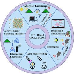 Structure, near-infrared broadband luminescence and long afterglow properties in CaGd2Ga4GeO12: Cr3+ garnet phosphor for multifunctional applications