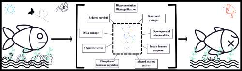 Fipronil transformation in aquatic ecosystems and ecotoxic effects on fish populations