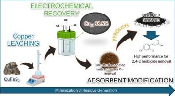 Sustainable copper recovery from chalcopyrite: Eutectic solvent as a green medium for leaching, in situ electrodeposition, and platform for adsorbent modification: Preliminary attempt for a zero-waste process