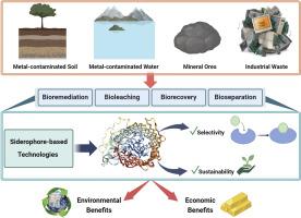 Advancements in siderophore-based technologies for metal biorecovery