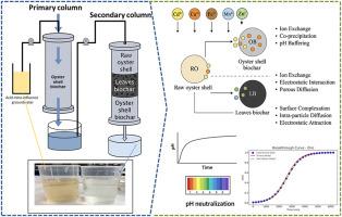 Neutralization of pH and removal of heavy metals from acid mine water by using low-cost biosorbents in batch and column studies