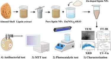 Innovative green synthesis of zinc-doped lignin nanoparticles from almond shell wastes: Examining photocatalytic, antibacterial, and cytotoxicity