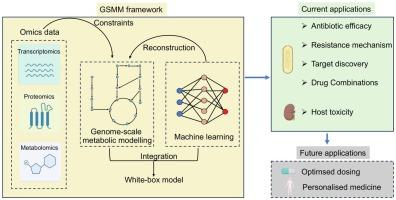 Genome-scale metabolic modelling in antimicrobial pharmacology: Present and future