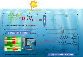 Deciphering the photodegradation fate of Brevetoxins: Kinetics, degradation pathways, and toxicity evaluation