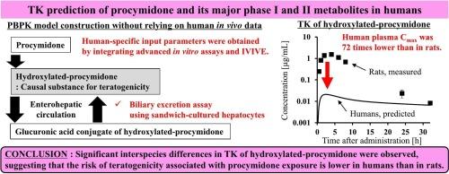 Prediction of human pharmacokinetics of procymidone and its major phase I and II metabolites using a PBPK model with enterohepatic circulation