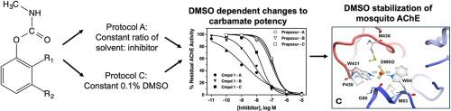 Solvent-, enzyme-, and structural-dependence of phenyl-substituted methyl carbamate inhibition of acetylcholinesterase