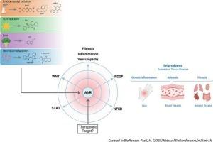 Systemic sclerosis and AHR: Shedding light on a hidden connections